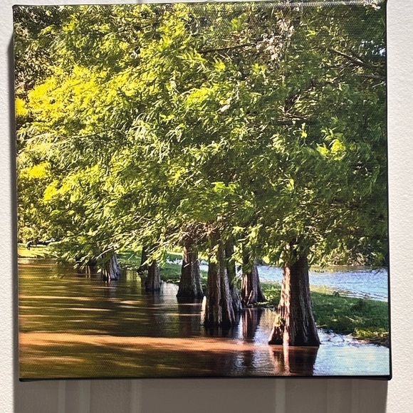Blank Canvas 8x8 Inch - Picture 1 of 5